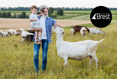 homme senior portant un petit garçon dans les bras et carressant a tête d'une chèvre dans un champ soleil