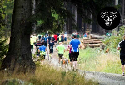 groupe de personnes pendant une course à pied en pleine nature