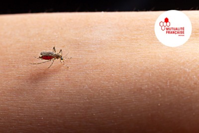 gros plan moustique sur la peau